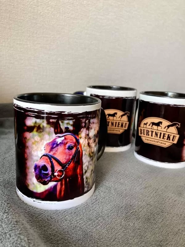 Printing on clothes, mug sublimation, canvas and other things for advertising
